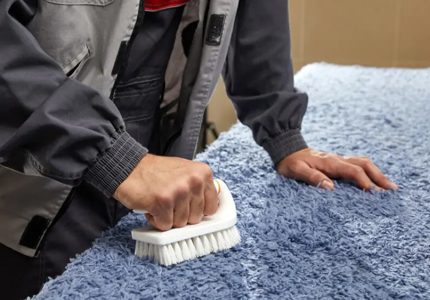 Carpet Cleaning in Greenwith