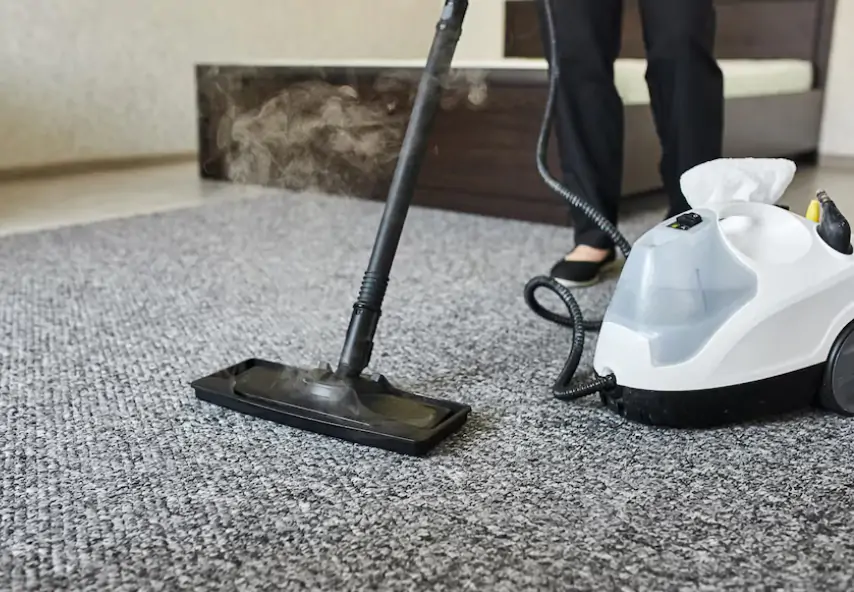 Carpet Cleaning in Salisbury