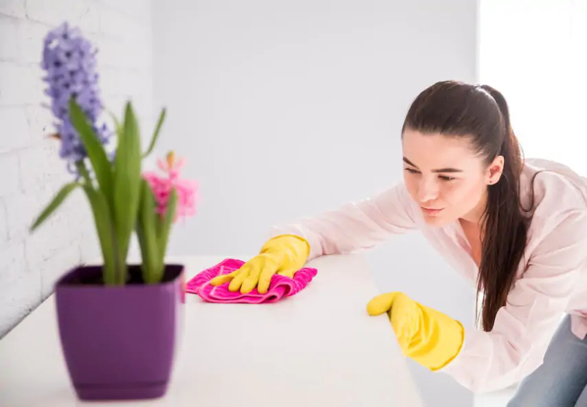 Spring Cleaning in Paradise